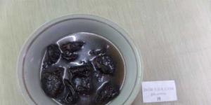Как испечь вкусный пирог с черносливом: рецепты приготовления с творогом и сметаной